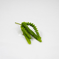Succulent Artificial 23cm (Un)